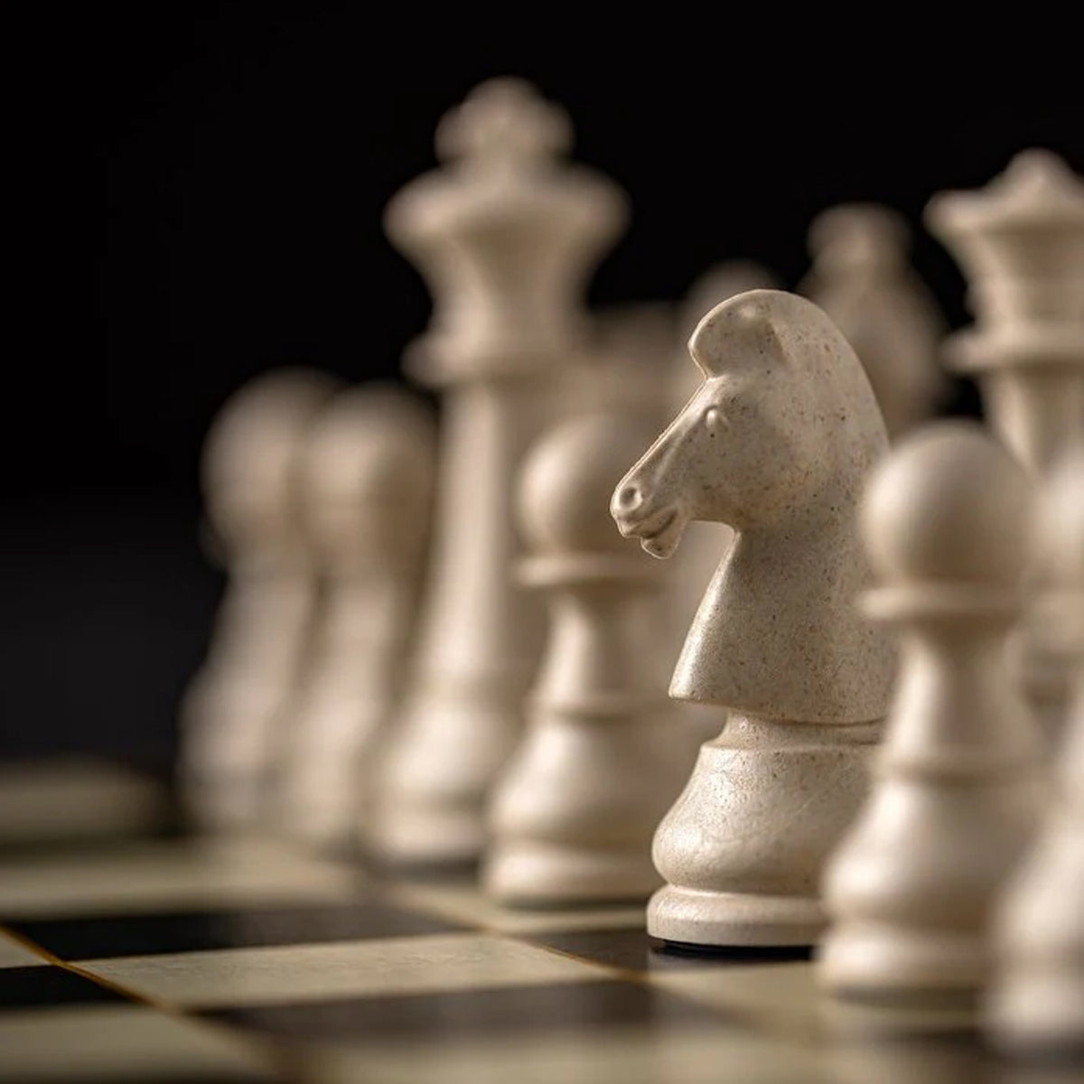 Joc de Șah profi WPC Classic