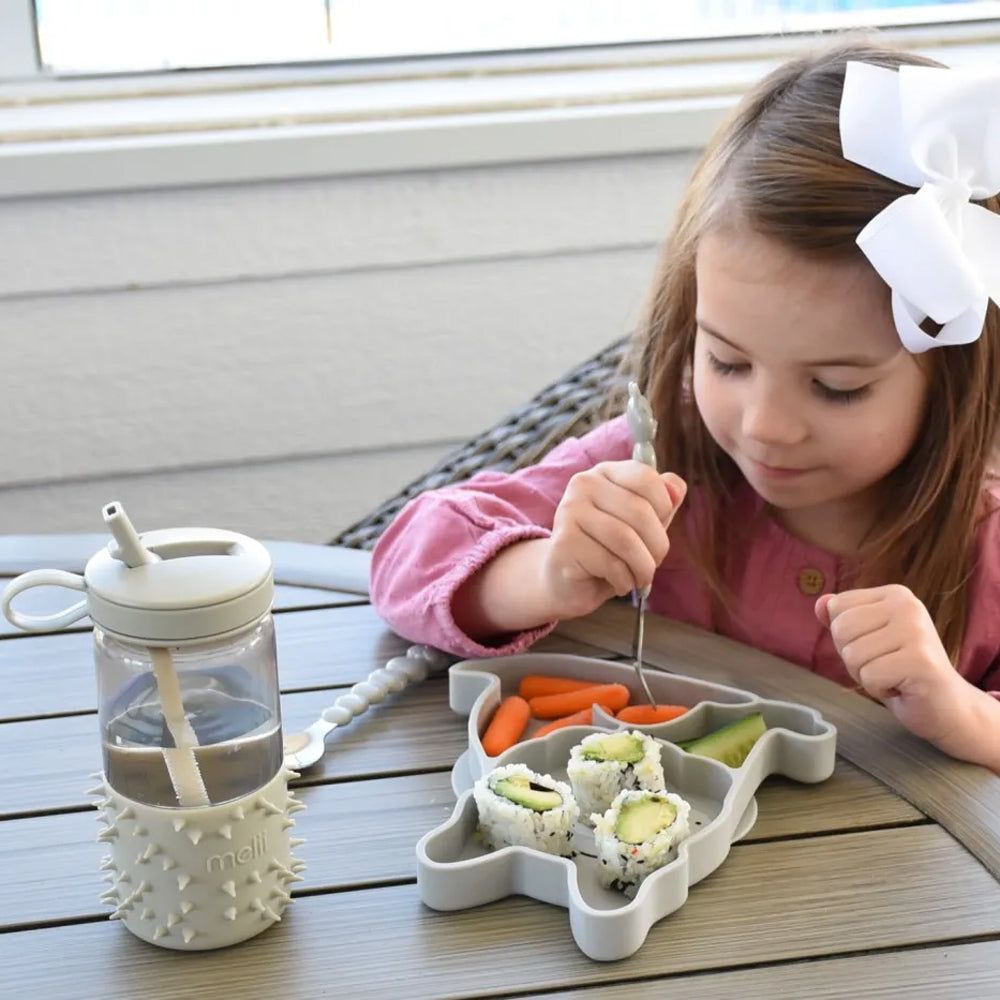 Farfurie Catelus din silicon cu compartimente si ventuza