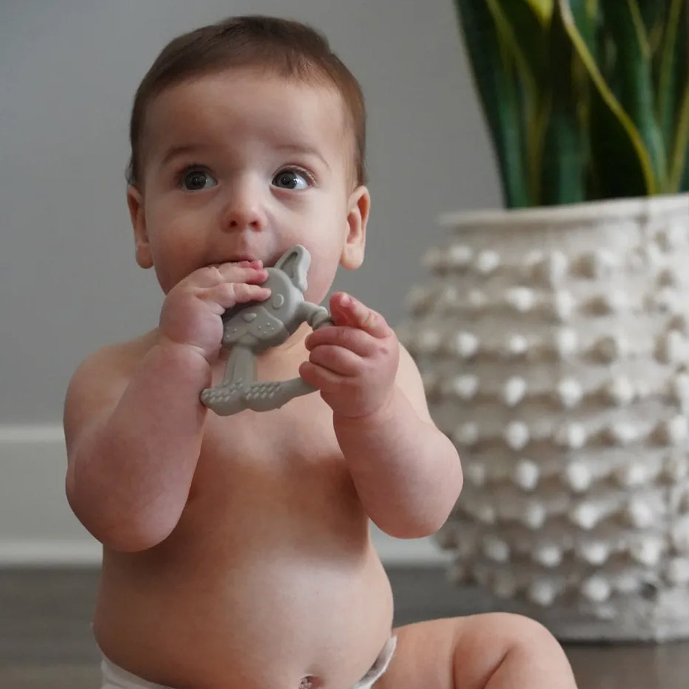 Set 2 buc, jucarii dentitie din silicon, Catelus si Pisica, Melii