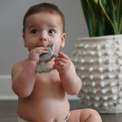 Set 2 buc, jucarii dentitie din silicon, Catelus si Pisica, Melii