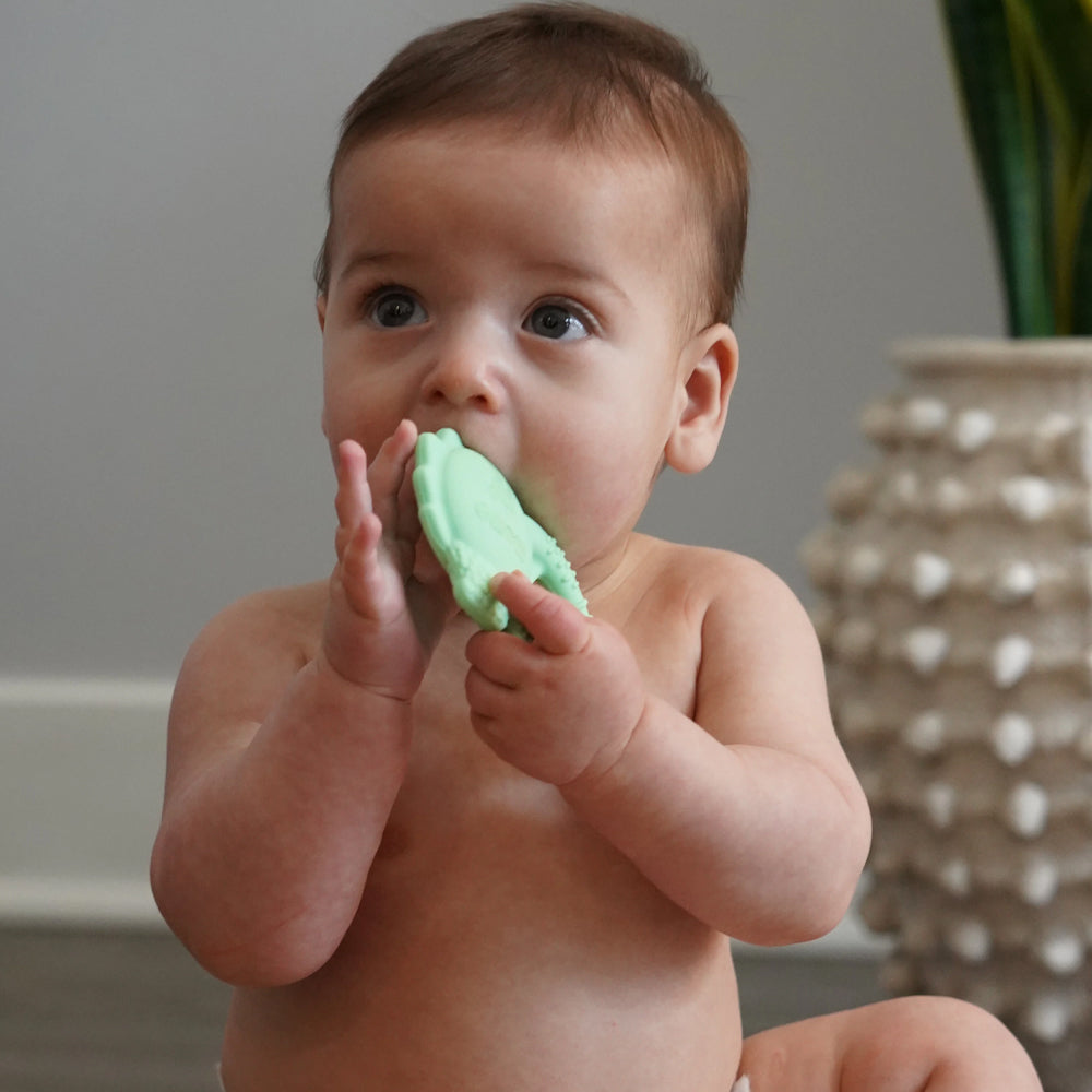 Set 2 buc, jucarii dentitie din silicon, Dino si Rechin, Melii