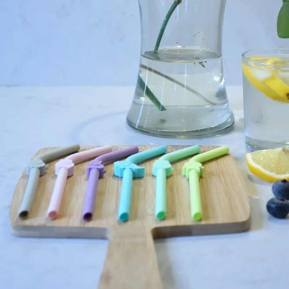 Set 6 buc Paie din silicon, reutilizabile, Melii + perie de curatare