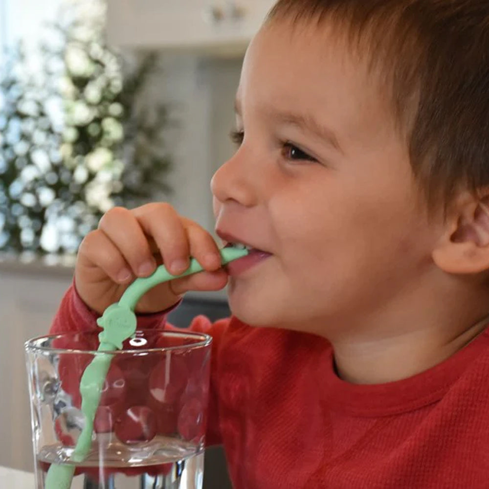 Set 6 buc Paie din silicon, reutilizabile, Melii + perie de curatare