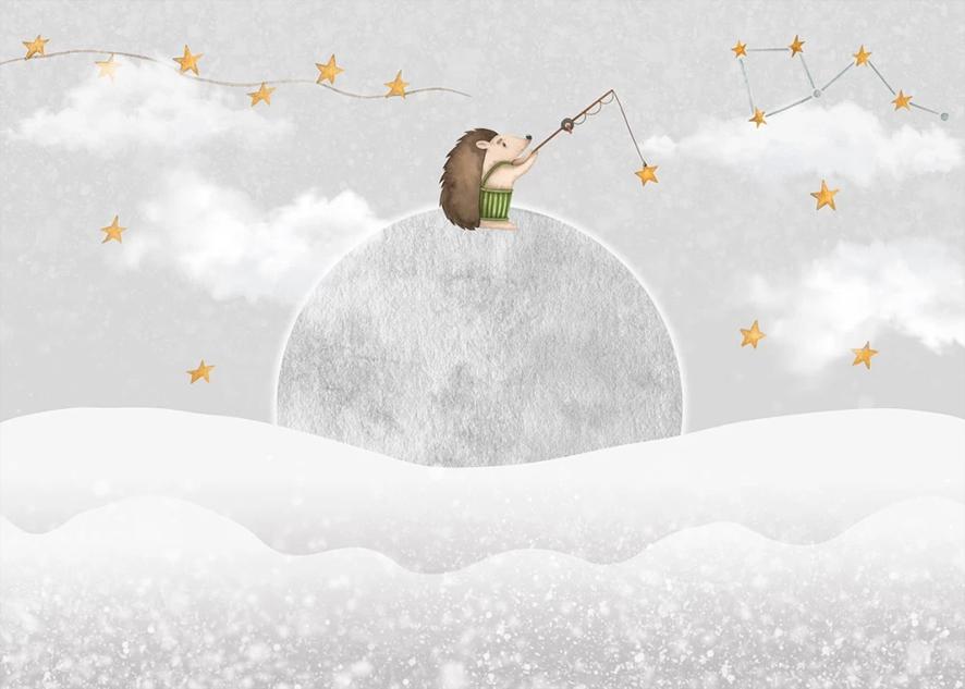 Ariciul și luna - Fototapet